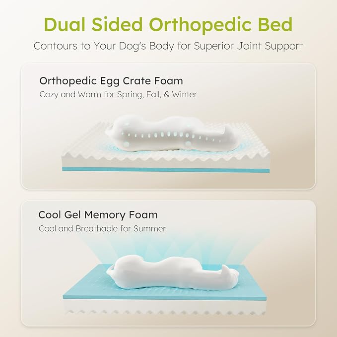 Extra Large Dog Bed, Orthopedic Dog Beds - Image 2