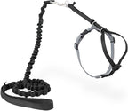 PetSafe Come With Me Kitty Cat Harness & Bungee Leash by PetSafe