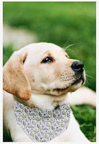 ARING PET Dinosaur Dog Bandanas, Summer Kerchief Triangle Bibs Scarf - Image 5