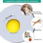 Premium Soft Pom Pom Balls for Kittens - Image 3