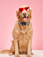 Valentine's Dog Collar, UP URARA PUP Love Heart Adjustable Pet Collar - Image 6