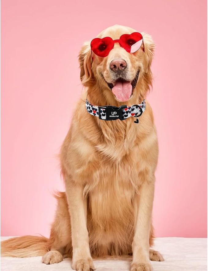 Valentine's Dog Collar, UP URARA PUP Love Heart Adjustable Pet Collar - Image 6