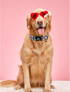 Valentine's Dog Collar, UP URARA PUP Love Heart Adjustable Pet Collar - Image 6