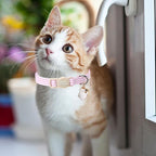 Unique style paws 2 Pack Spring Summer Kitten Collar Breakaway - Image 5