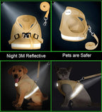 Cat Harnesses and Puppy Harness - Image 5