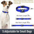 Airtag Dog Collar with AirTag Holder - Image 6