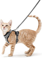 rabbitgoo Cat Harness and Leash by rabbitgoo