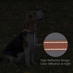 Reflective Dog Collar Padded - Image 5
