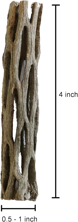 Natural Cholla Wood for Aquarium Decoration Shrimp and Fish Tank) - Image 5
