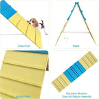 Dog Agility Course Backyard Equipment - Image 4