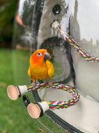 Bird Traval Carrier Cage, Polarized Tinted Brown Space Capsule Astronaut - Image 3