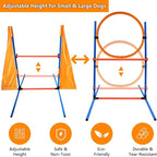 Premium Dog Agility Training Set Outdoor Indoor Game, Tire Jump + Hurdle Jump - Image 7