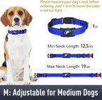 Airtag Dog Collar with AirTag Holder - Image 6