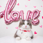 PUPTECK Breakaway Cat Collars - Image 7
