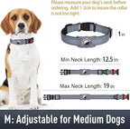 Airtag Dog Collar with AirTag Holder - Image 6