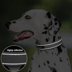 PetiFine Dog Collars for Medium Dogs, Neoprene Padded and Adjustable, - Image 4