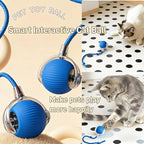 Interactive Cat Toys for Indoor Cats, Agility Move Cat Balls, Motion Activated - Image 2
