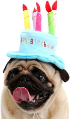 Cute Adorable Dog Cat Birthday Cake Hat Pet Cap Headwear Hat - Image 7