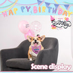 Personalized Dog Birthday Bandana, Happy Birthday Scarf - Image 7
