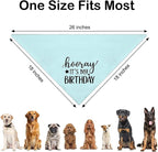 Hooray It's My Birthday Blue Dog Bandana, Cute Birthday Gifts - Image 2