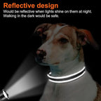 Joytale Reflective Dog Collar, Soft Neoprene Padded, Metal D-Ring, Nylon Pet - Image 5