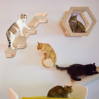 2 Pack 4 Steps Cat Wall Shelves, Wood Wall Mounted Stairs - Image 7