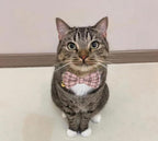 2 Pack Soft Cotton Cat Collars - Image 6