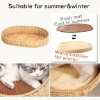 Modern Cat Tree for Large Cats, 48-Inch Tall Cat Tree Tower - Image 12