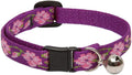 LupinePet Originals 1/2" Rose Garden Cat Safety Collar by LupinePet