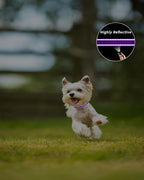 TagME Reflective Nylon Dog Collars, Adjustable Classic Pet Collar - Image 5