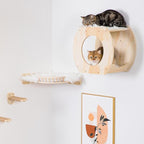 Cat Shelves - 3 Steps, Wall Climbing Shelf - Image 8