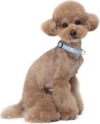 Reflective Dog Collar for Small Dogs, Cute Daisy Theme Adjustable Heavy-Duty - Image 2