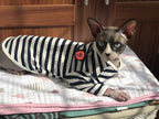 DENTRUN Hairless Cats Shirt Breathable Cat Daily Wear Clothes Stripe Vest - Image 3
