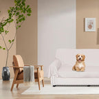 DUJUIKE Waterproof Bed Cover for Dog and Cats, Pet Hair Resistant Bed Sheet - Image 5