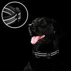 azuza Reflective Dog Collar, Soft Neoprene Padded Pet Collar - Image 4