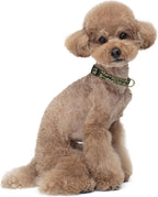 MOODEL Reflective Dog Collar for Small Dogs Cats, Cute Camouflage Adjustable - Image 2