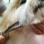 Dog Grooming Scissors with Safety Round Tips Stainless Steel Professional Dog - Image 8