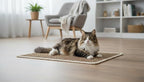 Premium Brazilian Cat Scratcher Mat – 24'' x 16'' Natural Fiber 100% Sisal - Image 5
