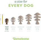 Benebone Tiny 2-Pack Fishbone Durable Dog Chew Toys, Real Fish Flavor, Made in - Image 4
