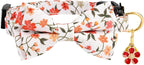 2 Pack Breakaway Cat Collar - Image 4