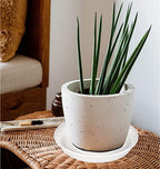 2 Pack of 14 inch Plant Saucer, 1.7" Depth Tray, Large Deep Garden Plastic - Image 6