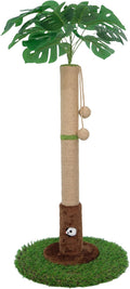 Cat Scratching Post for Indoor Cats and Kitten by WOOCHPET