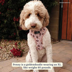 Cute Reversible Dog Harness - Image 2