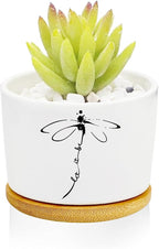 Window Garden Dragonfly Planter Pots, Dragonfly Gifts by Databa