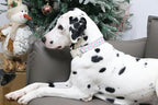 DOGWONG Cotton Dog Collar - Image 5
