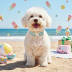 Small Dog Collar, Cute Dog Collar - Image 2