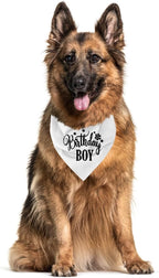 Happy Birthday Dog Bandana, Dog Bandana - Image 3