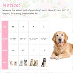 Dog Collar for Small Medium Large Dogs, Spring Blue Dog Collars - Image 2