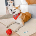 PetAmi Waterproof Dog Blanket, Leakproof XL Pet Blanket - Image 5