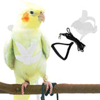 Pet Parrot Bird Harness and Leash, Adjustable Training Design Anti-Bite by Dnoifne